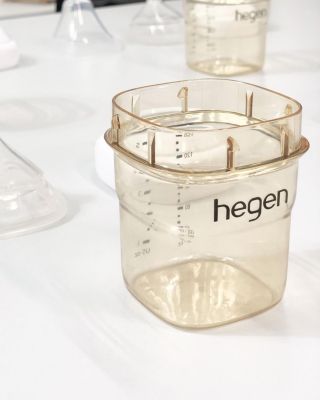 Essentials Starter Kit