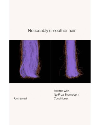 No Frizz Shampoo 8 oz.