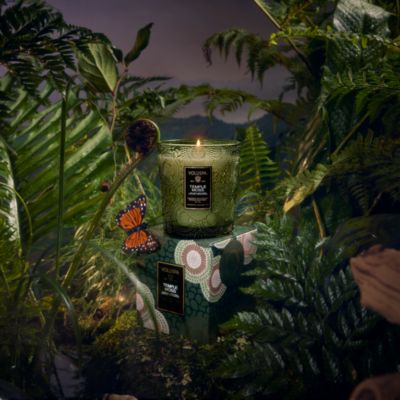 Temple Moss Classic Candle, 9 oz.