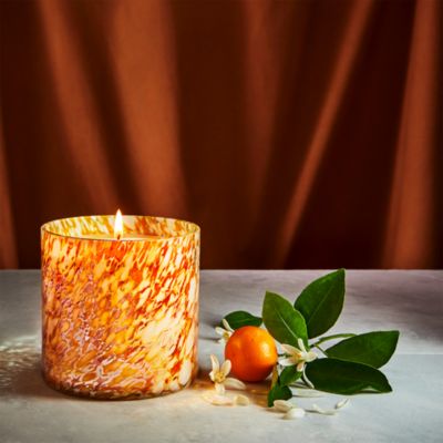 Orange Blossom Absolute Signature Candle, 15.5 oz.