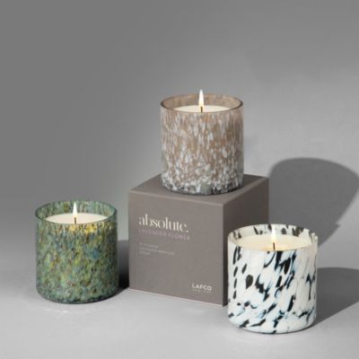 Absolute Candle Collection