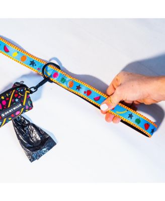 Dancing Fruits Dog Leash