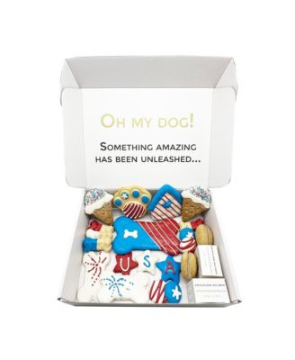 USA Themed Dog Treats Gift Box