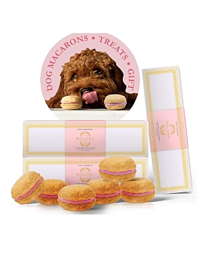Bonne Et Filou Strawberry Gift Pack Of Dog Macarons, 18 Count