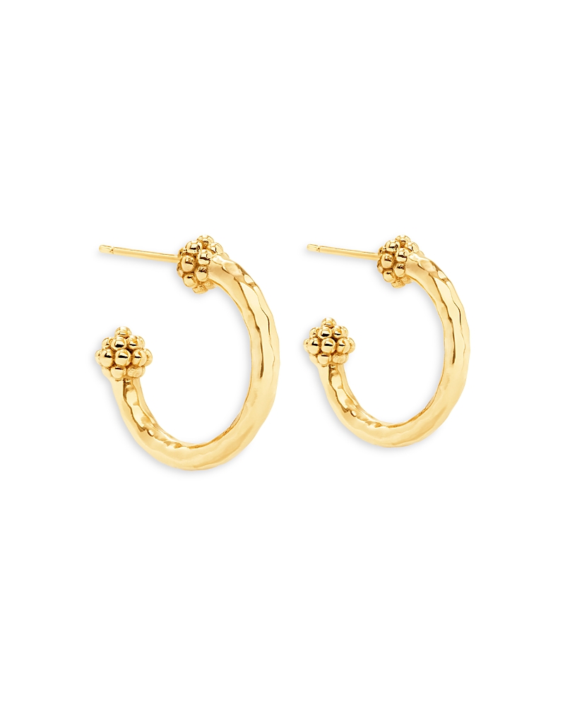 Capucine De Wulf Berry Slice Small Hoop Earrings In 18k Gold Plated In Gold