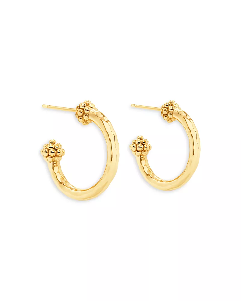 Capucine De Wulf Berry Slice Small Hoop Earrings in 18K Gold Plated