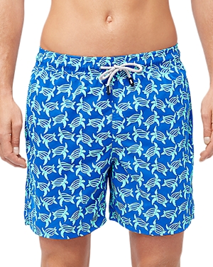 6 Turtle Swim Shorts