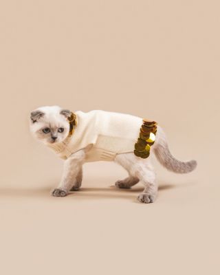  PETITE Cotton Pet Sweater with Gold Paillettes