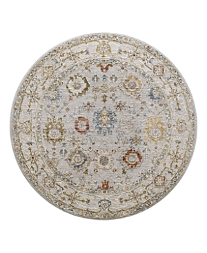 Shop Surya Reina Ren-2307 Round Area Rug, 5'3 X 5'3 In Silver