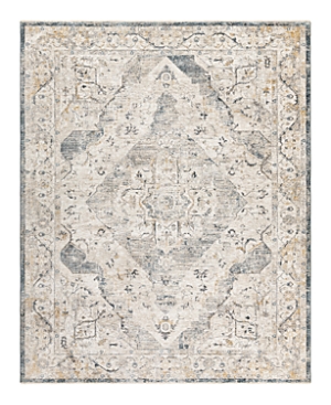 SURYA CARDIFF CDF-2303 AREA RUG, 6'7 X 9'6