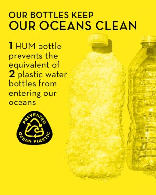 Here Comes the Sun D3 Supplement