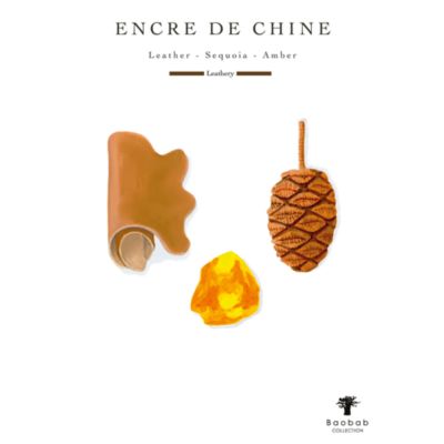 Max 16 Les Prestigieuses Encre de Chine Candle