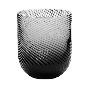 Richard Brendon Set Of 2 Optic Smoke Tumblers In Smoke