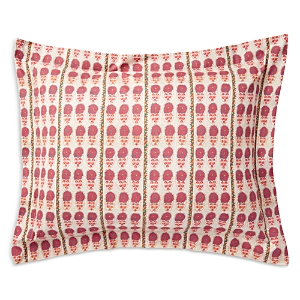 St. Frank Fuchsia Daisy Suzani Standard Sham, Pair In Fuchsia