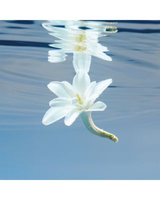 Bloom Eau de Parfum Intense 1.6 oz.