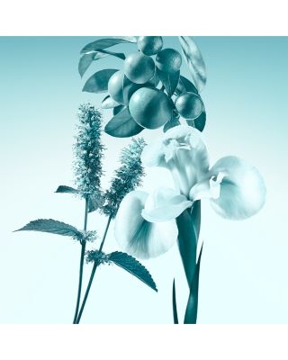 Tiffany Eau de Parfum 2.5 oz.