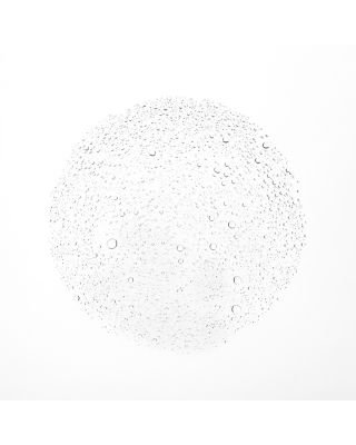 The Face Mist 3.38 oz.