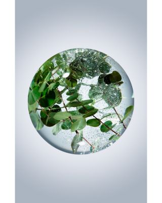 Concentrated Brightening Serum Refill 1.3 oz.