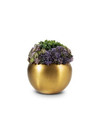 Valencia Gold-tone Sedum Arrangement