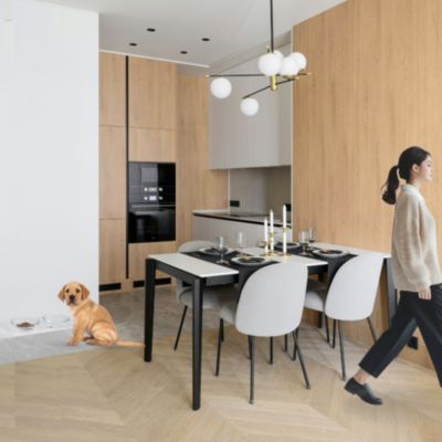 Small Clear Double Glass Bowl Pet Feeder, 1 Pint Bowls