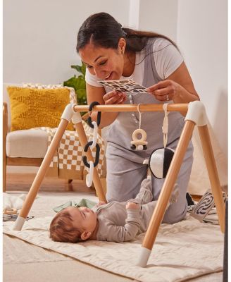 The Play Gym - Age 0-24 Months