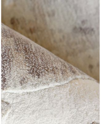 Exquisite Rugs Papyrus 6800  Area Rug Collection