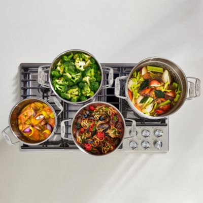 Simply Strain Stainless Steel 12 Quart Multipot with Insert