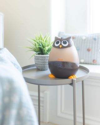 Adorable Humidifier, Mini Owl, Cool Mist Humidifier with Vapor Tray, 0.5 Gal.