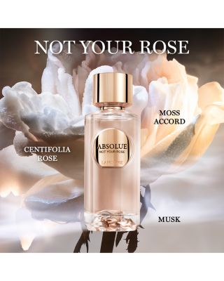 Lancôme Absolue Not Your Rose Eau de Parfum 3.4 oz