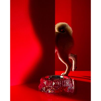 Louxor Large Pet Bowl