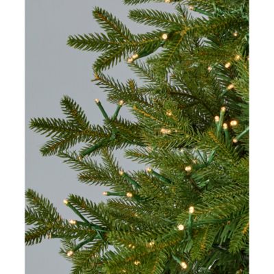 Dandan Pine 7.5' Tree with Warm White LED Lights