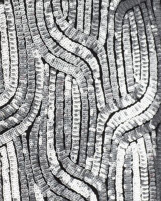 Bella Sequin Maxi Skirt