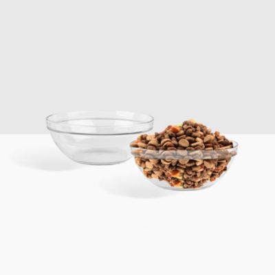 Small Clear Double Glass Bowl Pet Feeder, 1 Quart Bowls