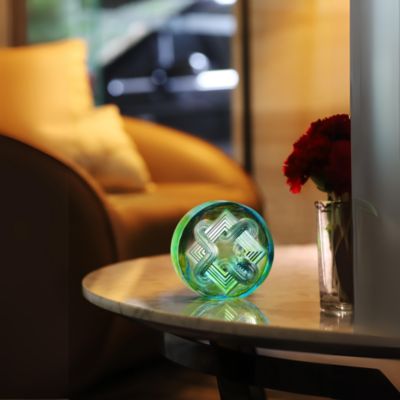 Endless New Horizons Crystal 2025 Snake Paperweight