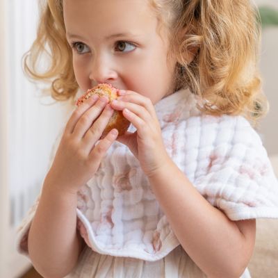 Muslin Reversible Burpy Bibs, 2 Pack