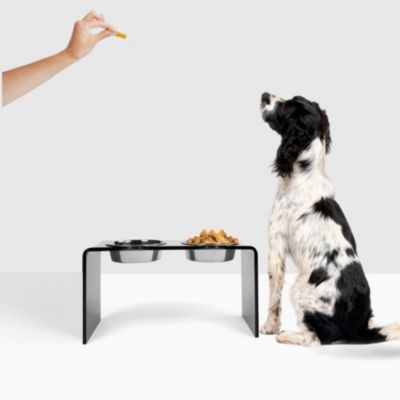 Tall Smoke Grey Pet Feeder, 2 Quart Bowls