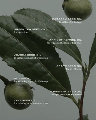 Phyto Green Cleansing Balm