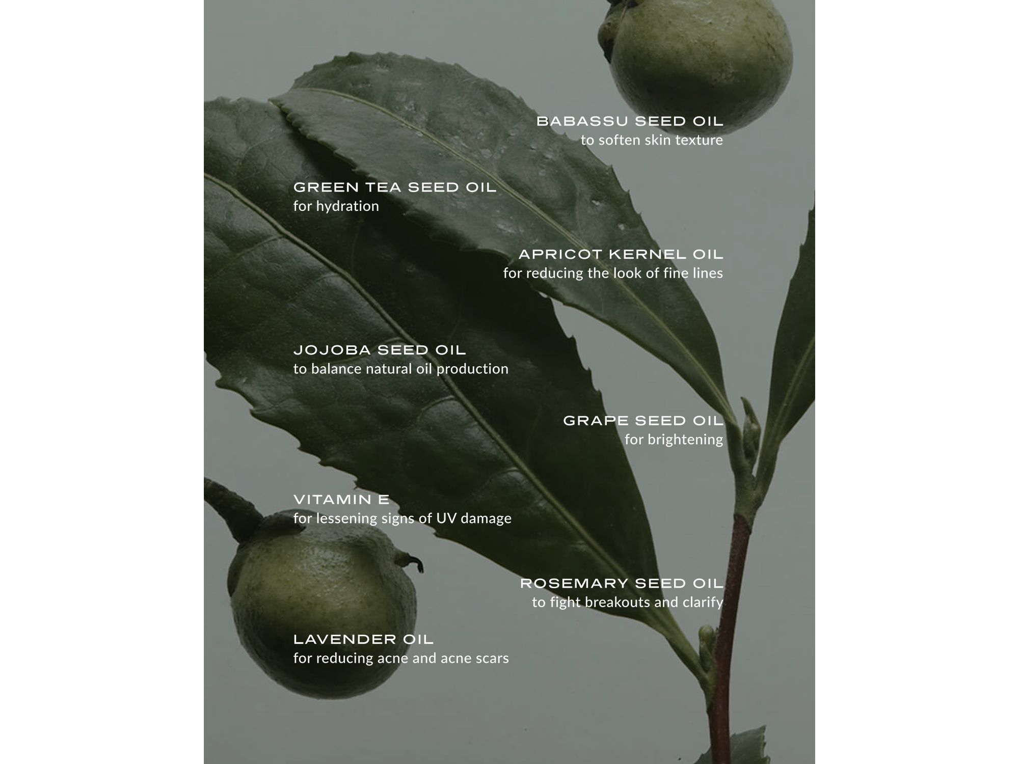 Phyto Green Cleansing Balm — Image 5
