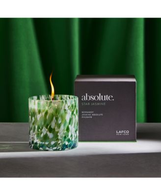 Star Jasmine Absolute Signature Candle, 15.5 oz.
