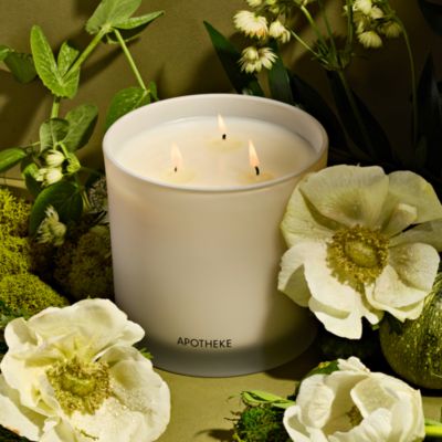 Verdant Garden 3 Wick Scented Candle, 26 oz.
