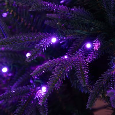 6&#39; Pre Lit Artificial Edmonton Fir Light Show Memory Shape Christmas Tree with Instant Connect Technology and 300 Color Changing LED Lights
