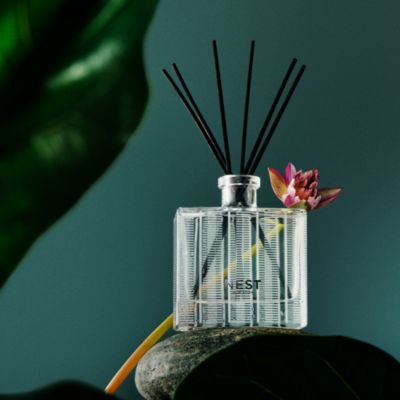 Forest Rain Reed Diffuser, 5.9 oz.