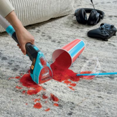 StainStriker HairPro Portable Spot and Stain Deep Cleaner