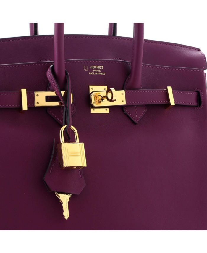 Birkin 25 Handbag Swift with Gold Hardware