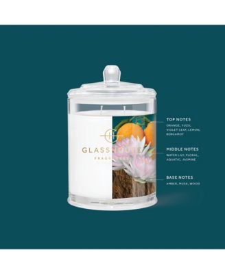 Velvet Rhapsody Candle 13.4 oz.