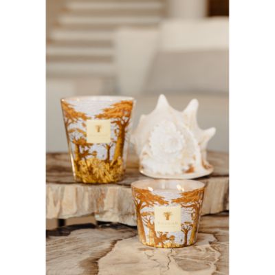 Max 35 Sacred Trees Cocody Candle