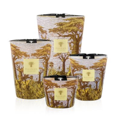 Sacred Trees Cocody Candle