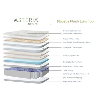 Phoebe Plush Euro Top Mattress - Exclusive