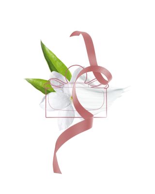 Signorina Eau de Parfum 3 Piece Gift Set ($170 value)