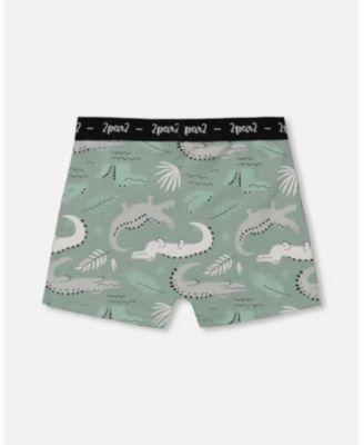 Boys' Printed Organic Cotton Boxer Shorts - Little Kid, Big Kid